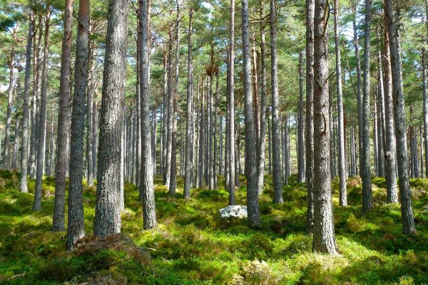 Quelles sont les formations possibles pour les métiers de la transition écologique ?