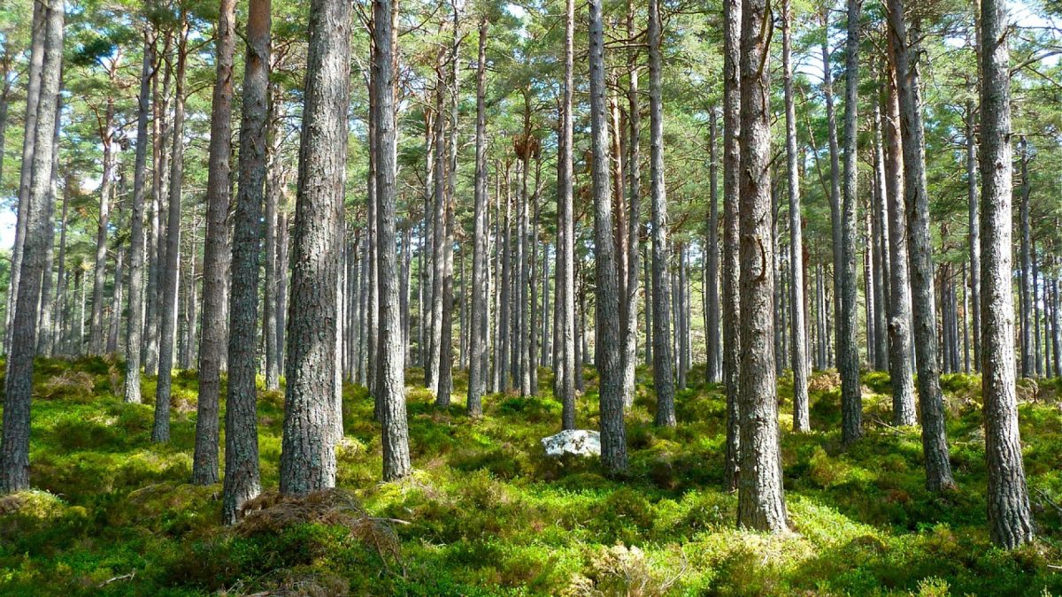 Quelles sont les formations possibles pour les métiers de la transition écologique ?